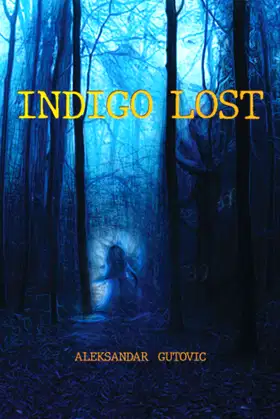 INDIGO LOST poster