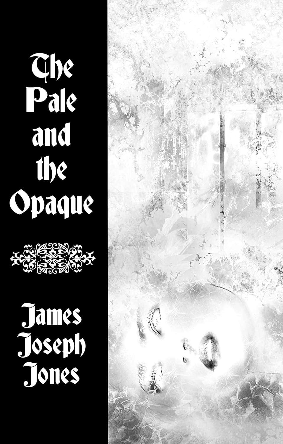 The Pale and the Opaque: Book 1 of THE WESTON CHRONICLES poster