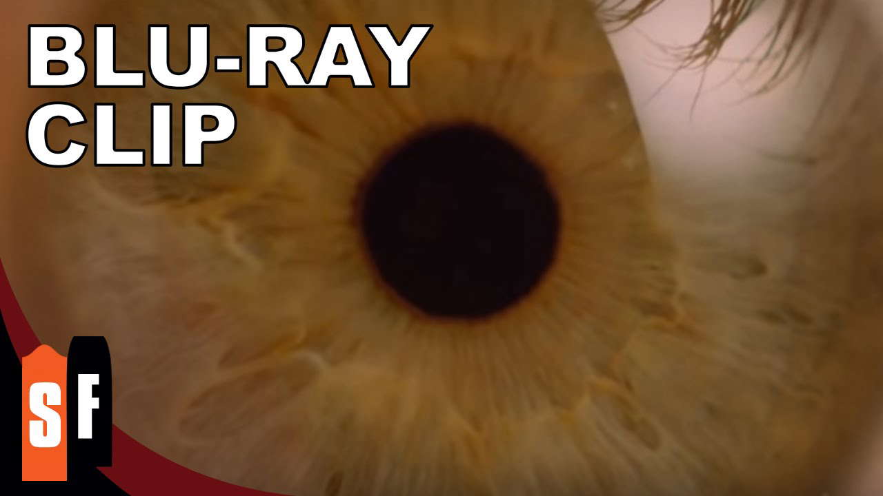Clip (1/2)