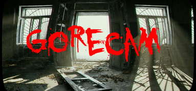 Gorecam capsule