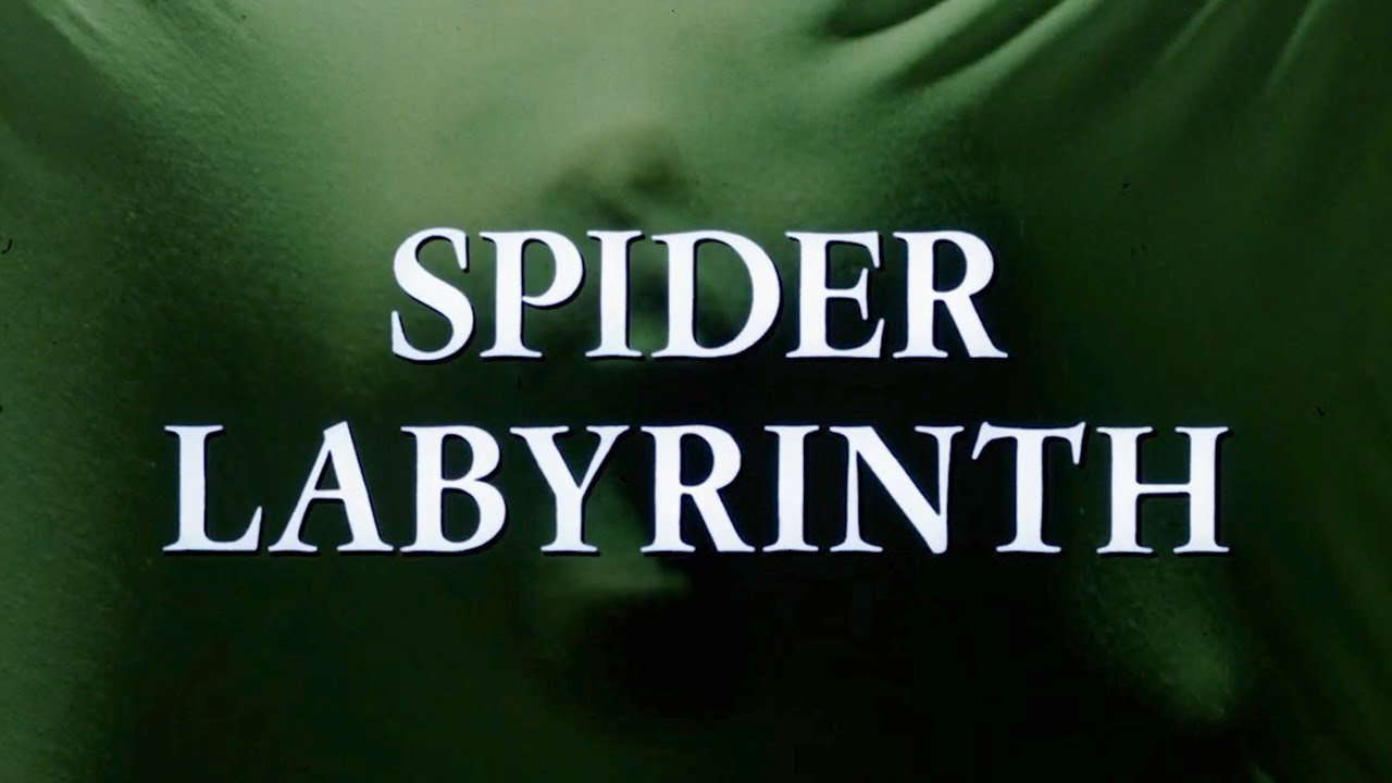 Poster for The Spider Labyrinth
