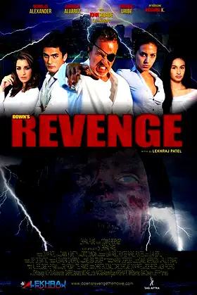 Down's Revenge poster
