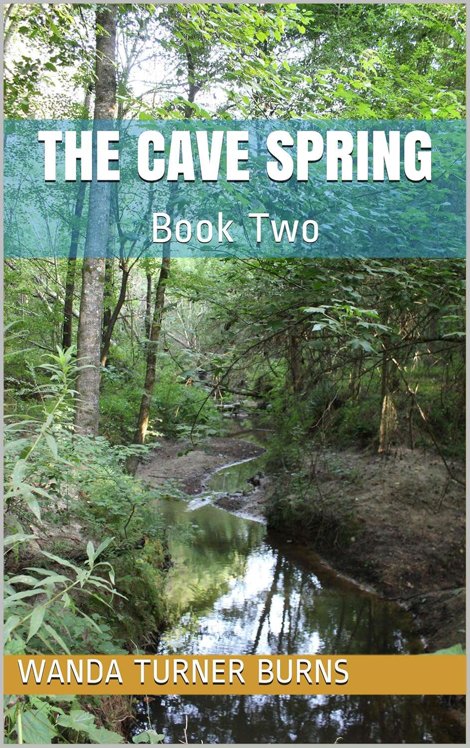 The Cave Spring: Book Two (The Healing 2) poster