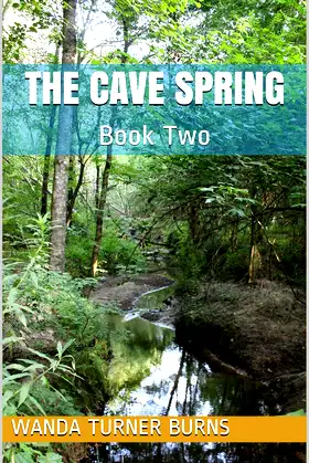 The Cave Spring: Book Two (The Healing 2) poster