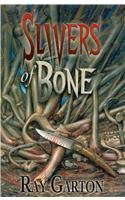Slivers of Bone poster