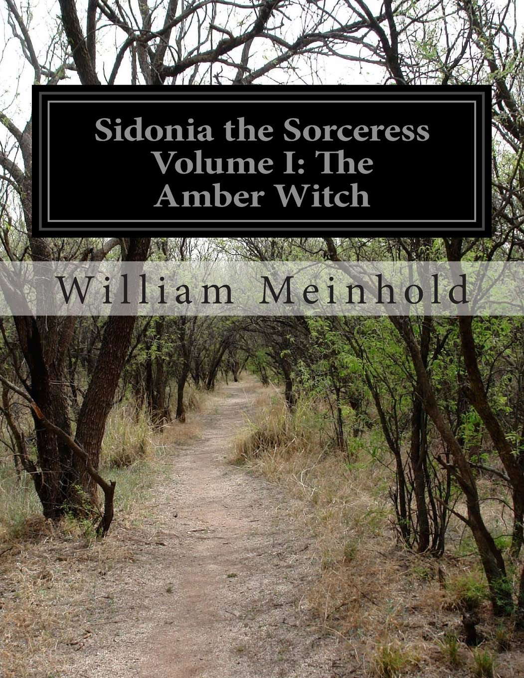 Sidonia the Sorceress Volume I: The Amber Witch poster
