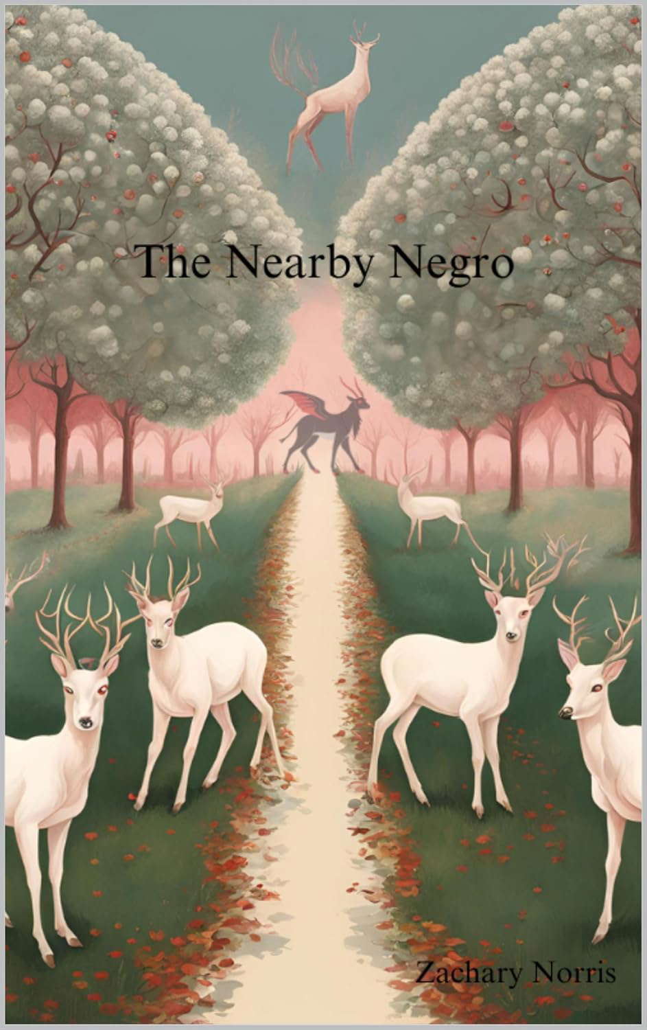 The Nearby Negro poster