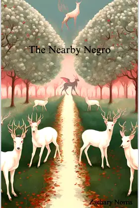 The Nearby Negro poster