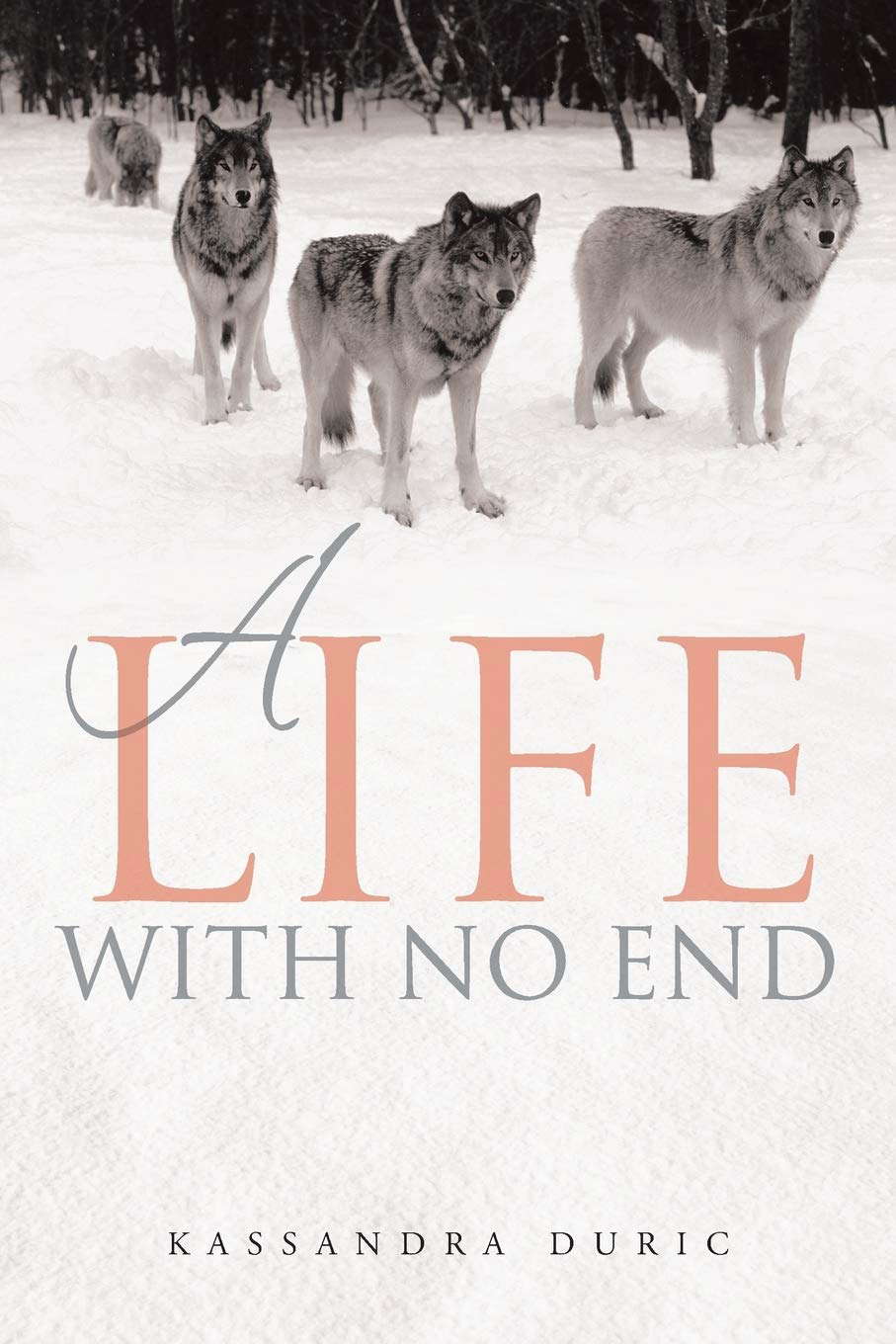 A Life With No End poster