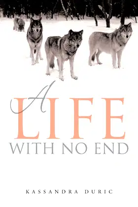 A Life With No End poster