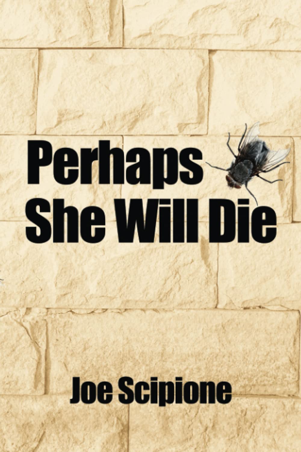 Perhaps She Will Die poster