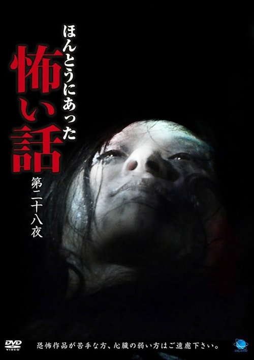 Scary True Stories: Night 28 poster