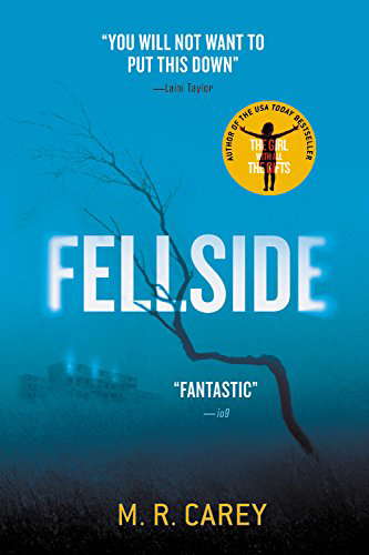 Fellside poster