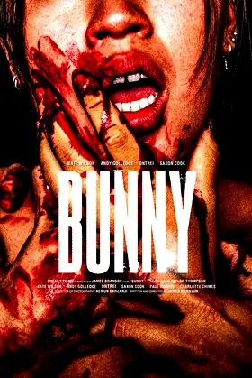 Bunny poster