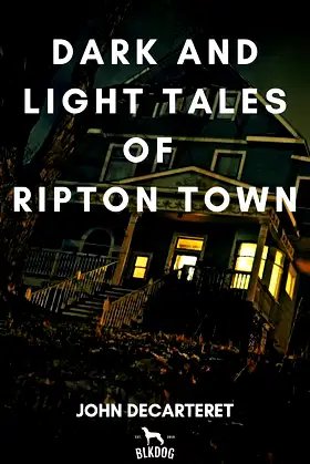 Dark and Light Tales of Ripton Town poster