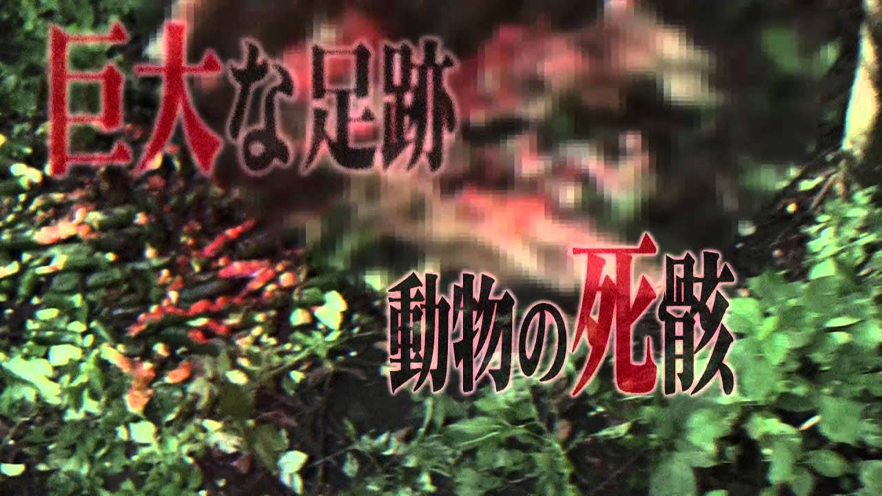 戦慄怪奇ファイル  コワすぎ!  FILE-03【人喰い河童伝説】