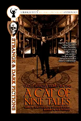 A Cat of Nine Tales poster