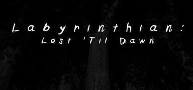 Labyrinthian: Lost 'Til Dawn capsule