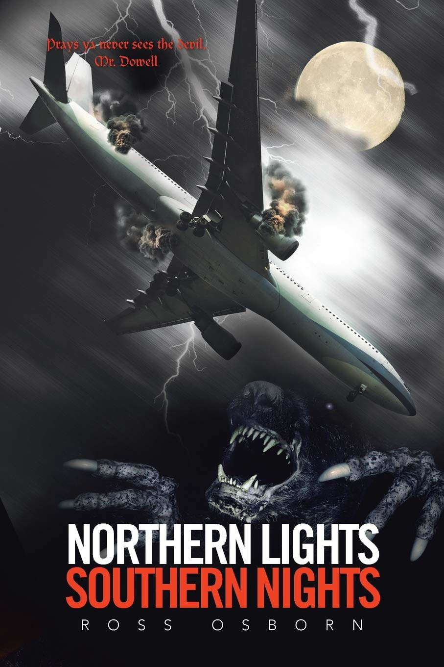 Northern Lights Southern Nights poster
