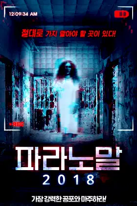 Paranormal Asylum: The Revenge of Typhoid Mary poster