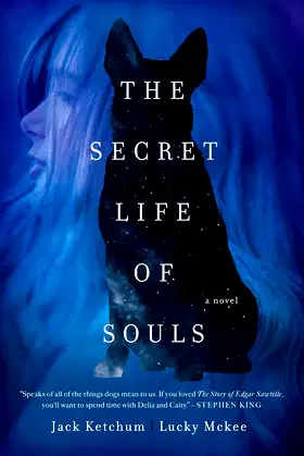 The Secret Life of Souls: A Novel poster