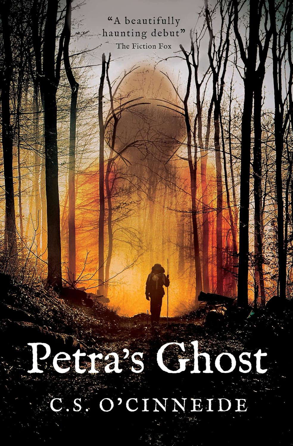 Petra's Ghost poster