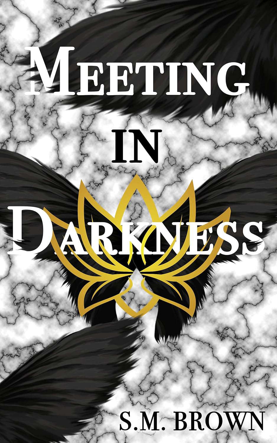 Meeting in Darkness (Darkness Duology Book 1) poster