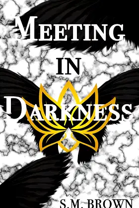 Meeting in Darkness (Darkness Duology Book 1) poster