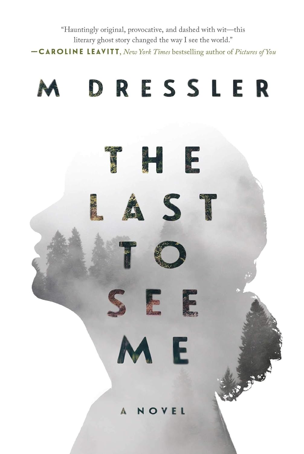The Last to See Me: The Last Ghost Series, Book One (1) poster