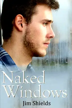 Naked Windows poster