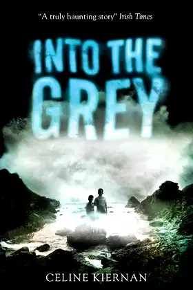Into The Grey poster