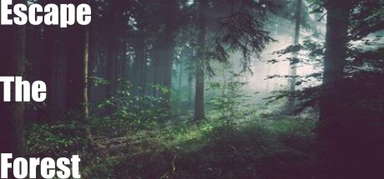 Escape The Forest capsule