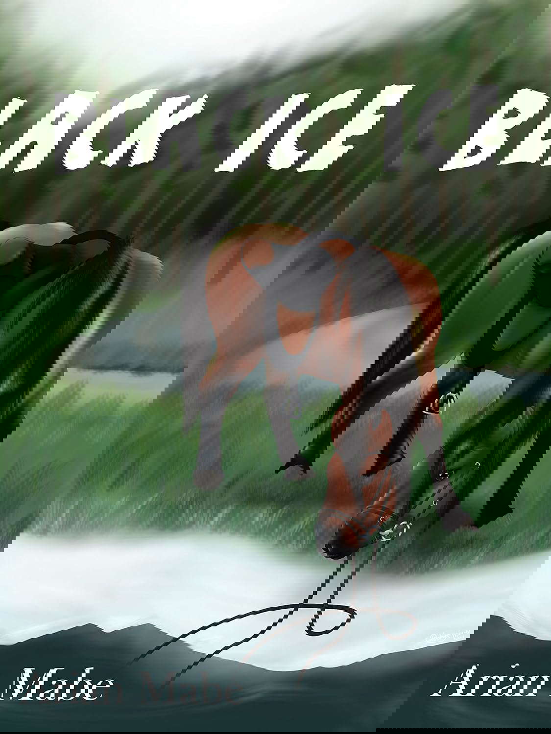 Black Ice poster