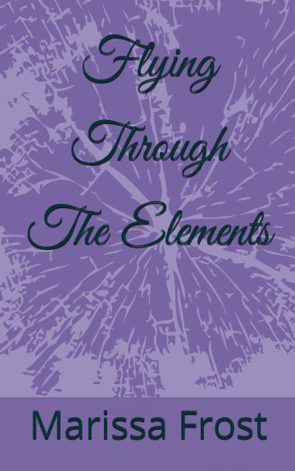 Flying Through The Elements poster
