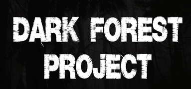 Dark Forest Project capsule