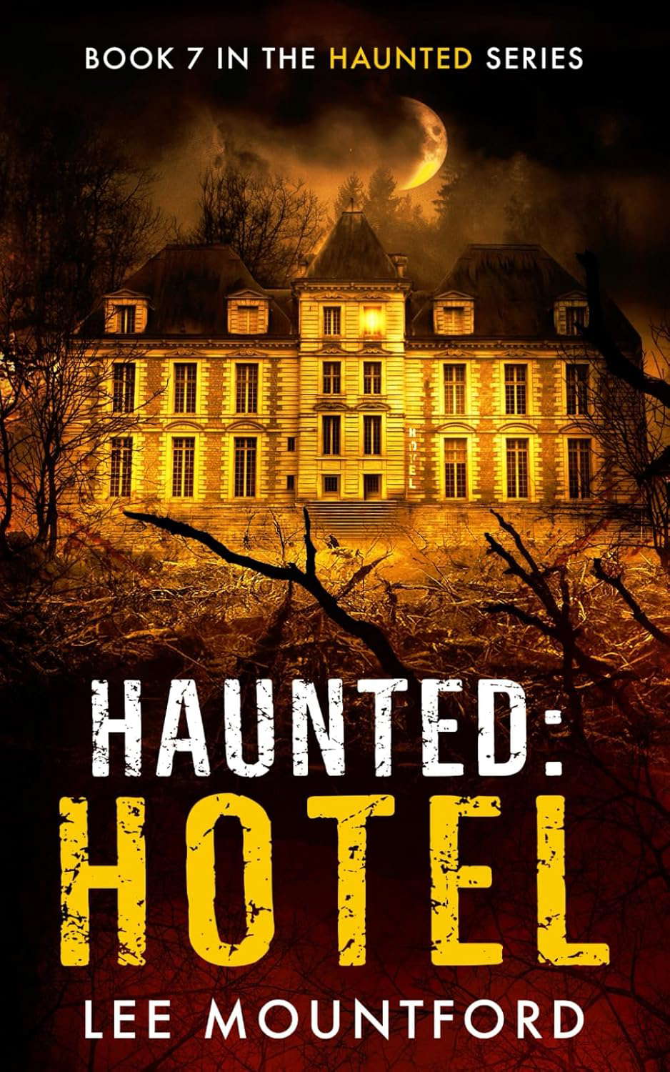 Haunted: Hotel poster