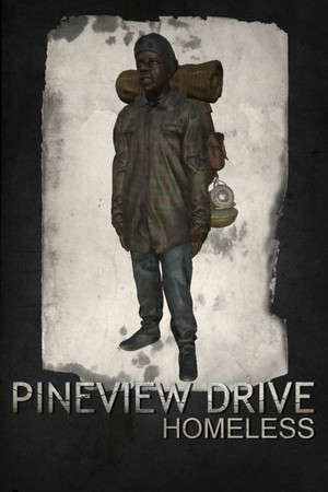 Pineview Drive - Homeless poster