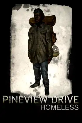 Pineview Drive - Homeless poster
