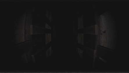 Paranormal VHS screenshot 9