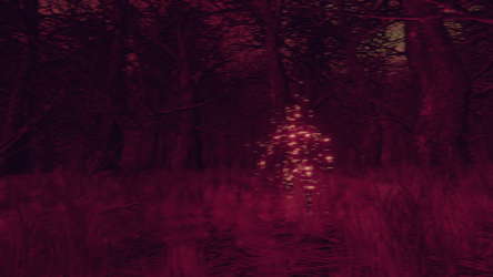 Witch Hunt screenshot 7