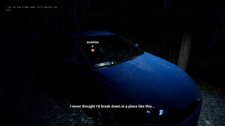 Escape from the Village screenshot 2
