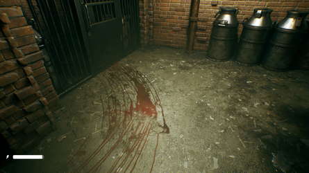 The Land of Shadows : Asylum screenshot 8
