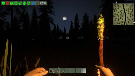 The Survivor screenshot 2