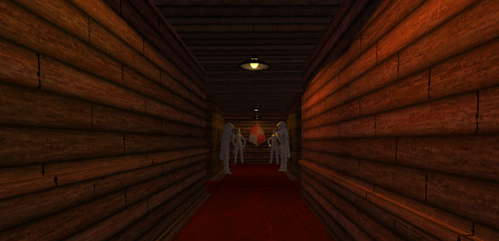 Invasion Vill screenshot 6