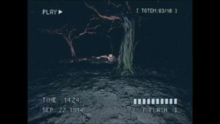 Lost Footage : Sound In The Silence screenshot 3
