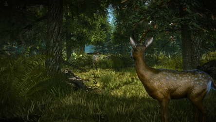 The Witcher 2: Assassins of Kings Enhanced Edition screenshot 2