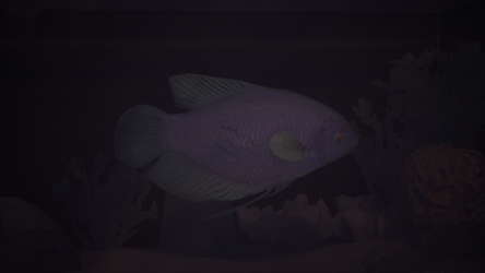 Halu - The Fish screenshot 6