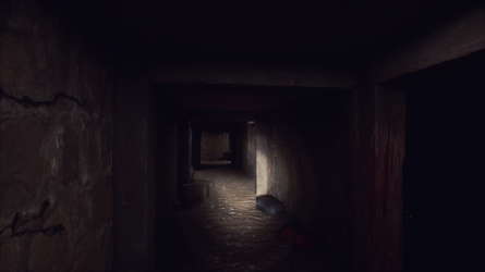 The Unseen screenshot 1