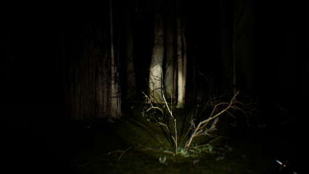 Search 4 Bigfoot screenshot 6