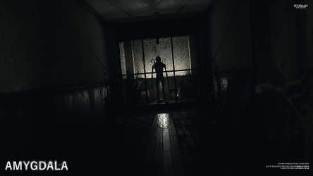 Amygdala screenshot 5